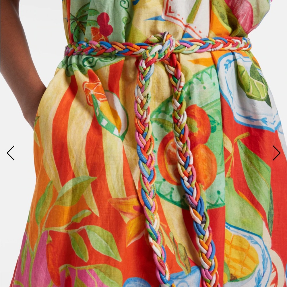 FARM RIO Multicolor Summer Picnic Midi Dress - Picture 5 of 9